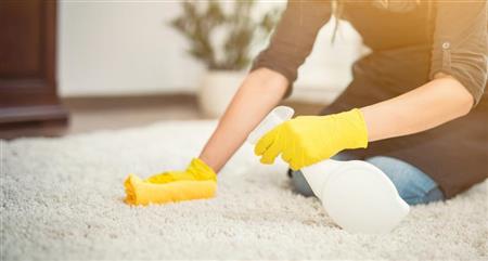 Modalitati eficiente de curatare a covorului